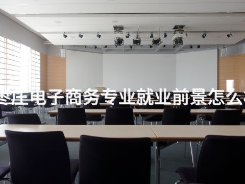 枣庄电子商务专业就业前景怎么样