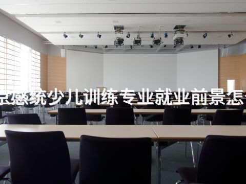 北京感统少儿训练专业就业前景怎么样
