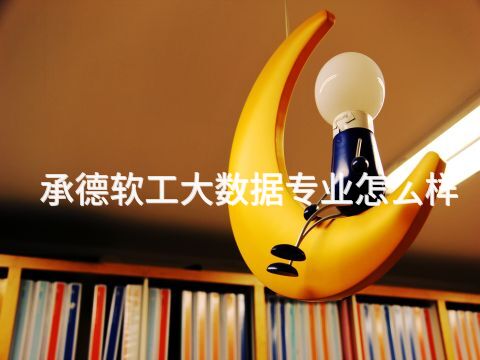承德软工大数据专业怎么样