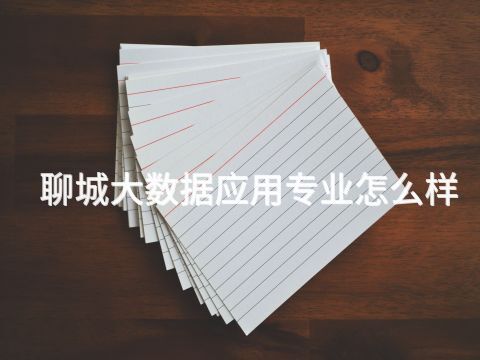 聊城大数据应用专业怎么样(图1) 聊城大数据应用专业怎么样(图1)