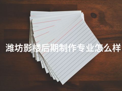 潍坊影楼后期制作专业怎么样(图1)