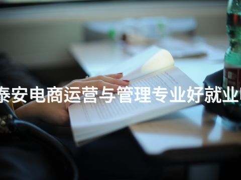 泰安电商运营与管理专业好就业吗(图1) 泰安电商运营与管理专业好就业吗(图1)