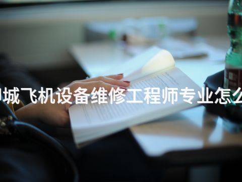 聊城飞机设备维修工程师专业怎么样(图1) 聊城飞机设备维修工程师专业怎么样(图1)