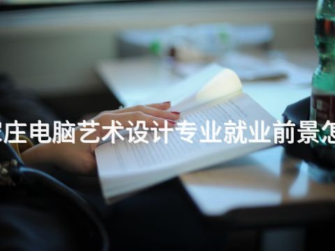 石家莊電腦藝術(shù)設(shè)計專業(yè)就業(yè)前景怎么樣(圖1) 石家莊電腦藝術(shù)設(shè)計專業(yè)就業(yè)前景怎么樣(圖1)