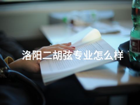 洛阳二胡弦专业怎么样