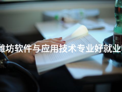 潍坊软件与应用技术专业好就业吗(图1) 潍坊软件与应用技术专业好就业吗(图1)
