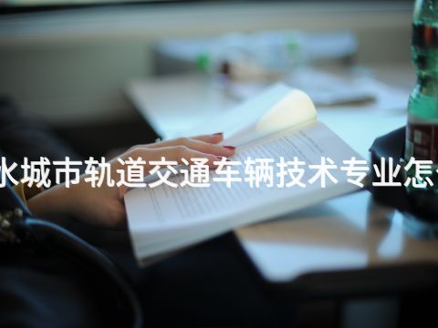 衡水城市轨道交通车辆技术专业怎么样