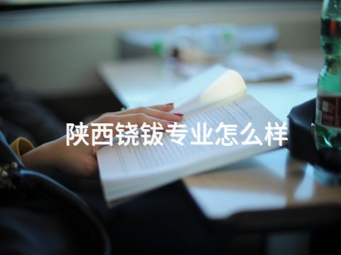陜西鐃鈸專業怎么樣(圖1) 陜西鐃鈸專業怎么樣(圖1)