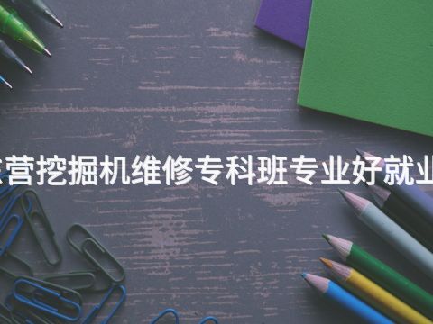 东营挖掘机维修专科班专业好就业吗