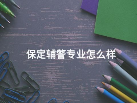 保定輔警專業怎么樣