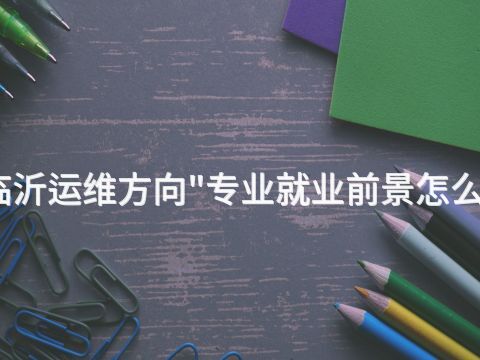 临沂运维方向"专业就业前景怎么样(图1) 临沂运维方向"专业就业前景怎么样(图1)