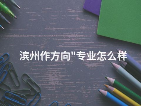 滨州作方向"专业怎么样