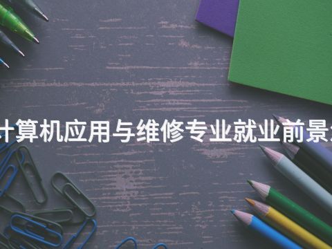 成都計算機應用與維修專業就業前景怎么樣