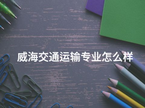 威海交通运输专业怎么样