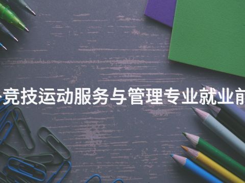 邢台电子竞技运动服务与管理专业就业前景怎么样