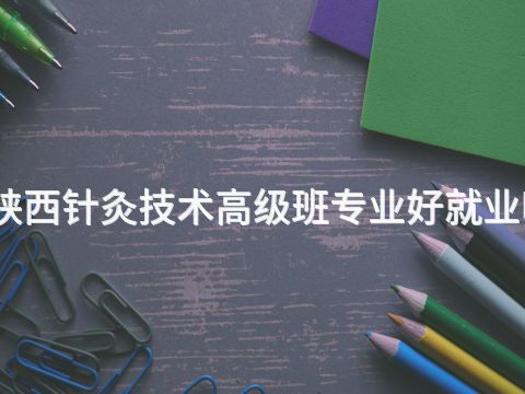 陕西针灸技术高级班专业好就业吗(图1) 陕西针灸技术高级班专业好就业吗(图1)