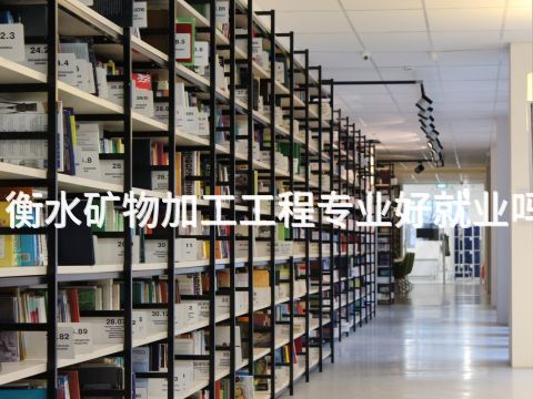 衡水矿物加工工程专业好就业吗