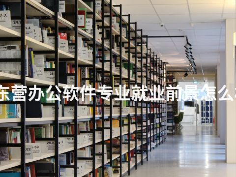 东营办公软件专业就业前景怎么样