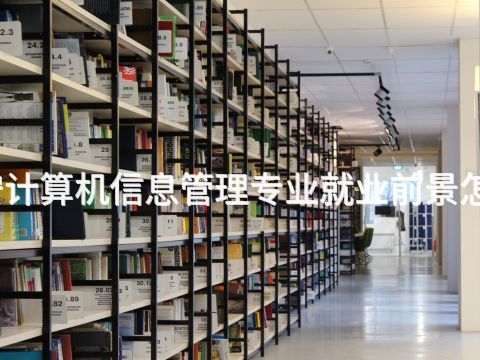 泰安计算机信息管理专业就业前景怎么样