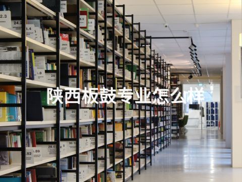 陜西板鼓專業怎么樣(圖1) 陜西板鼓專業怎么樣(圖1)