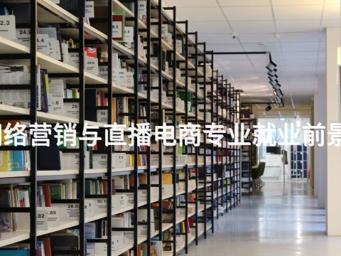 滄州網絡營銷與直播電商專業就業前景怎么樣