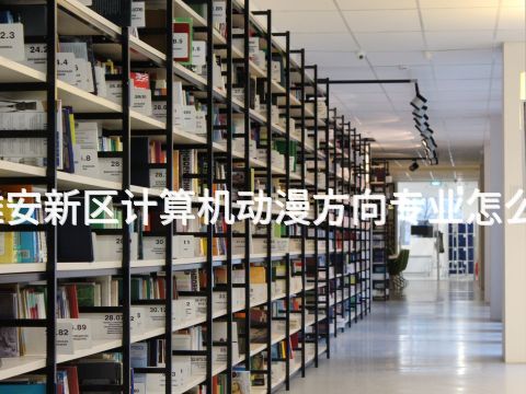 雄安新区计算机动漫方向专业怎么样