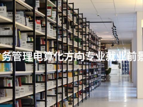 开封财务管理电算化方向专业就业前景怎么样