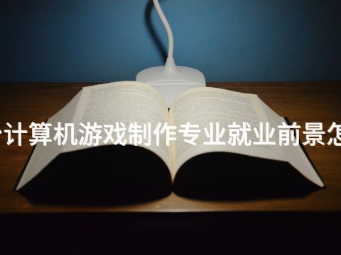 烟台计算机游戏制作专业就业前景怎么样