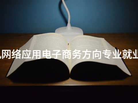 河南计算机网络应用电子商务方向专业就业前景怎么样(图1) 河南计算机网络应用电子商务方向专业就业前景怎么样(图1)