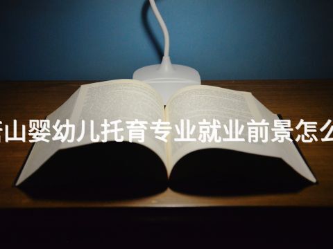 唐山婴幼儿托育专业就业前景怎么样(图1) 唐山婴幼儿托育专业就业前景怎么样(图1)