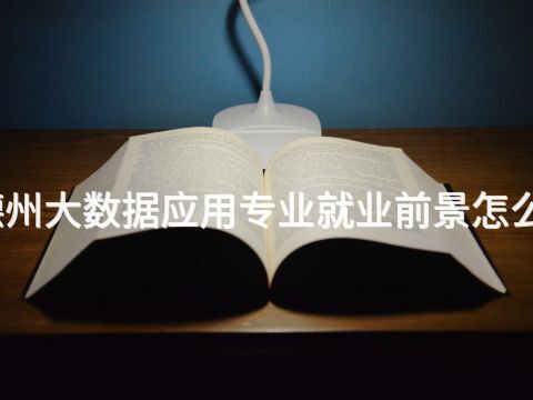 德州大数据应用专业就业前景怎么样