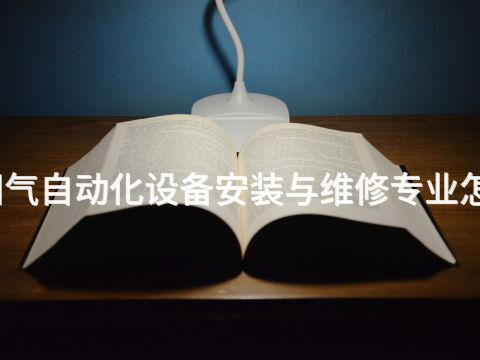 洛阳气自动化设备安装与维修专业怎么样