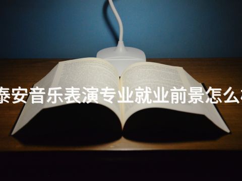 泰安音乐表演专业就业前景怎么样(图1) 泰安音乐表演专业就业前景怎么样(图1)