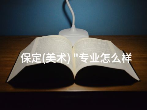 保定(美术) "专业怎么样
