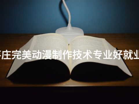 枣庄完美动漫制作技术专业好就业吗