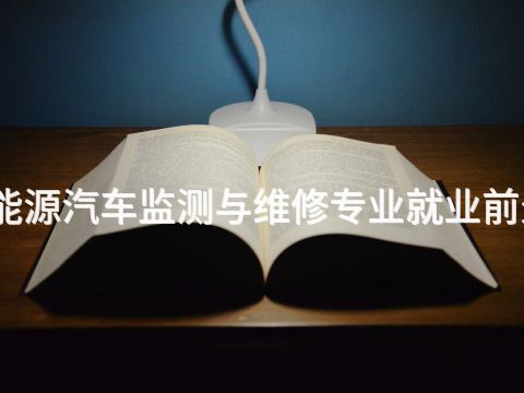 邯郸新能源汽车监测与维修专业就业前景怎么样(图1) 邯郸新能源汽车监测与维修专业就业前景怎么样(图1)
