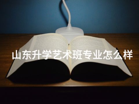 山东升学艺术班专业怎么样(图1) 山东升学艺术班专业怎么样(图1)