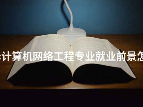菏泽计算机网络工程专业就业前景怎么样