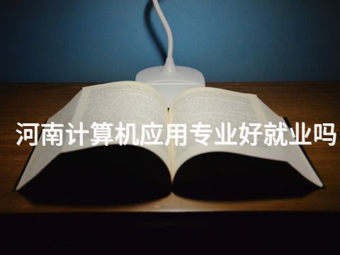 河南计算机应用专业好就业吗