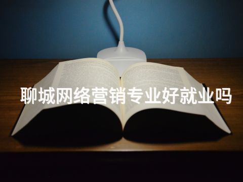 聊城網絡營銷專業好就業嗎