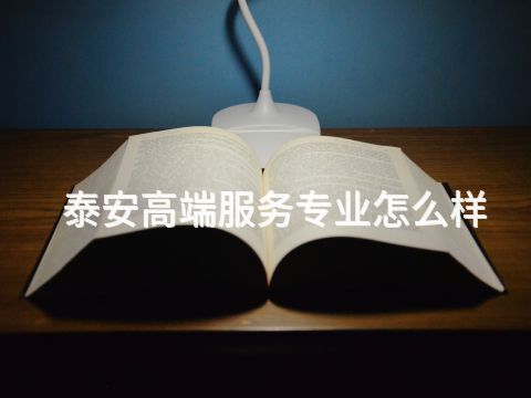 泰安高端服务专业怎么样