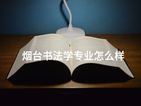 烟台书法学专业怎么样