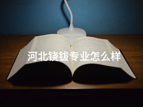 河北铙钹专业怎么样(图1) 河北铙钹专业怎么样(图1)