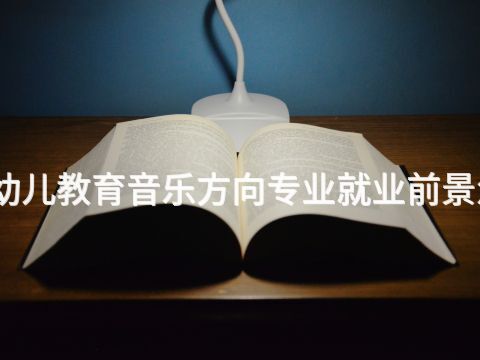 山西幼儿教育音乐方向专业就业前景怎么样