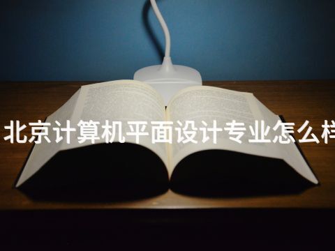 北京计算机平面设计专业怎么样(图1) 北京计算机平面设计专业怎么样(图1)