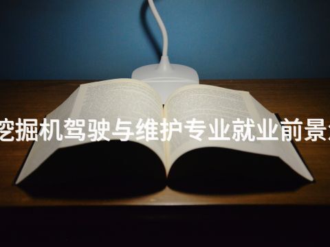 廊坊挖掘机驾驶与维护专业就业前景怎么样