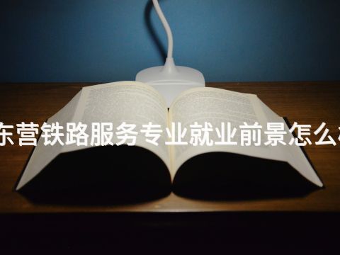 东营铁路服务专业就业前景怎么样(图1) 东营铁路服务专业就业前景怎么样(图1)