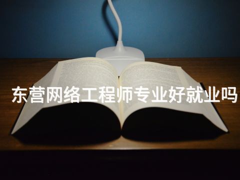 东营网络工程师专业好就业吗
