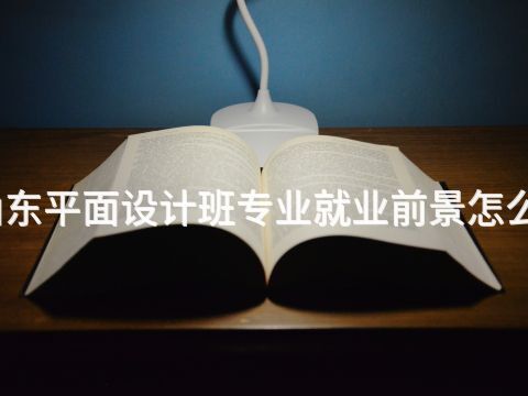 山东平面设计班专业就业前景怎么样