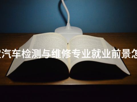 保定汽車檢測與維修專業就業前景怎么樣(圖1) 保定汽車檢測與維修專業就業前景怎么樣(圖1)